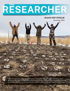 Researchers standing in brown field in winter